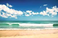 Appartement - Vue sur Mer