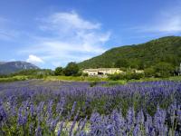 B&B Teyssières - Auberge de Miélandre - Bed and Breakfast Teyssières