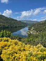 B&B Riba Douro - Quinta Vale do Cabo - Bed and Breakfast Riba Douro