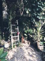 Recanto Monte Alegre - B&B Praia Grande