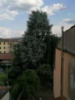 La Casetta nei Borghi - B&B Lucca