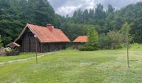 Forest House - B&B Pašvinės