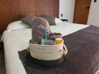 Loft oro en excelente ubicación! - B&B San Luis Potosí City