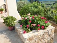 Kaina Villa - Bed and Breakfast