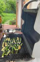 Къща за гости ЗЕЛЕНА - B&B Vinogradets