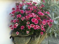 Ashbourne Holiday Homes - B&B