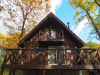 HARUNA LODGE - Vacation STAY 12175 - B&B Nasu