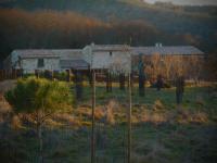 Mas Bô Regard gîte Bruyère - B&B Aiguèze