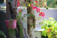 Casa Mãe da Lua - Ferienwohnung Arraial d'Ajuda