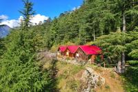 B&B Sainj - Himalayan Cedar Nest - Bed and Breakfast Sainj