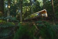 Forest Lodges - Ferienwohnung Betws-y-Coed
