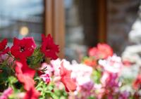 Maison Godioz - Appartamento 2 - B&B Leverogne Rochefort