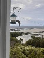 Thundering waves - Chambres d’hôtes Betty’s Bay