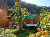 Ferienwohnung am Bächelweg - B&B