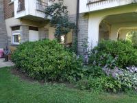 Il giardino delle ortensie - B&B