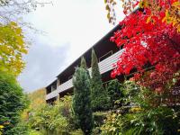 Vor lauter Bäumen B&B - Ferienwohnung Zorge