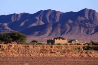 B&B Zagora - Auberge chez hammadi - Bed and Breakfast Zagora