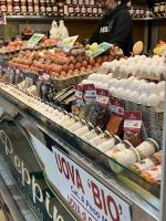 Cactus2023 - Chambres d’hôtes Rome