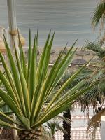 Vista Marina - B&B Benalmádena