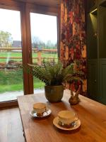 Apartament Zielony by Homeprime - B&B