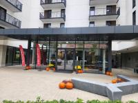 WARSZAWA CENTRAL HOUSE - Studios in Warsaw with Private Jacuzzi, full access to Sauna, Gym and Billards - Studia z prywatnym Jacuzzi oraz dostępem do sauny, siłowni i bilarda - B&B