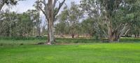 Riversands Rest Accommodation Paringa - Tea Tree Cottage - B&B