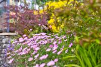 Howgills Apartments - Bed and Breakfast Sedbergh