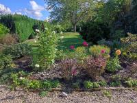Gite du Moulin - B&B Oignies