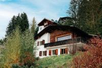 A&Y Chalet zum goldenen Hirsch - B&B Davos