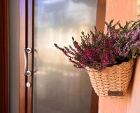 Appartamento in centro storico "La Casa di Cri" - B&B Asti