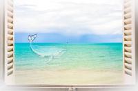 La BALEINE BLEUE - B&B Saint-Aubin-sur-Mer