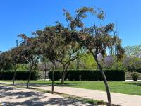 Casa Amplia Zona Semicentrica con cochera - B&B Mendoza