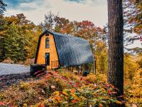 Secluded Mtn view New! 10 mins to Gatlinburg or Park - B&B Gatlinburg