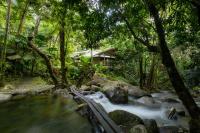 Daintree Secrets Rainforest Sanctuary - B&B