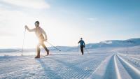 Kikut Alpin Lodge Ski in - Ski out - Bed and Breakfast