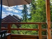 T2 au pied des pistes - B&B Puy-Saint-Vincent