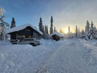 Cozy mountain house in Jämtland - Ferienwohnung Vallrun