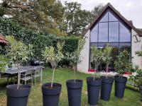 Gîte des châteaux de la Loire - B&B