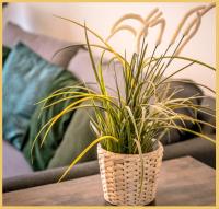 Appartement T3 I Cozy I Douvaine - B&B Douvaine
