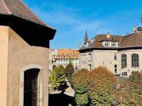 Splendide T3 proche Petite France Dragon - B&B