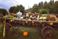 Mehadica House - B&B