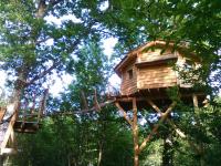 Cabane dans les Arbres