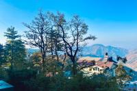 B&B Shimla - The Boho near mall road - Bed and Breakfast Shimla