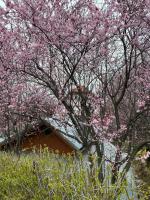 Złoty Zakątek - B&B Złoty Stok