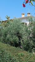 B&B LE LUCI CAMERA IN ATTICO GRAN VISTA interno 4 rose bianche - B&B Vasto