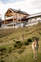 Holzhaus "Zum Schwarz'n" - B&B Aurach am Hongar