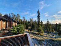 Hietavilla Borealis - Hot tube - Sauna - AC - Fireplace - 11kW EV-refuel - Landscape view - Silence - Free WiFi - Chambres d'hôtes Ruka