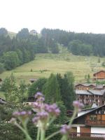 Les Flocons - B&B Les Gets
