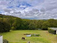 Reet am Rhein - Eröffnungsangebot - Ferienwohnung Boppard