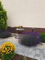 Ferienwohnung Hedi - B&B Mertloch